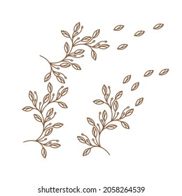 creative luxury cosmetic logo nature