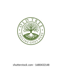 Creative luxury Tree nature sign logo design vector template