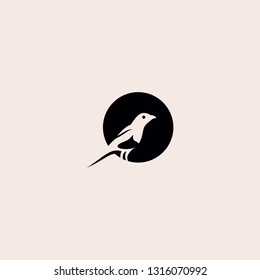 creative magpie bird logo vector illustration