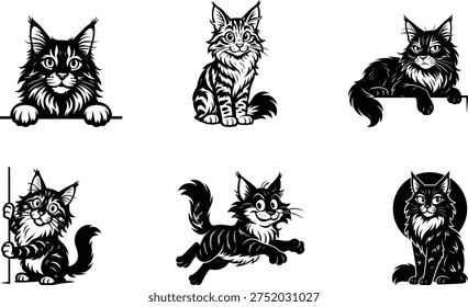 Creative Maine Coon cat silhouette bundle set featuring stylish feline