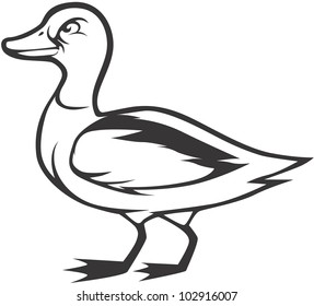 Creative Mallard Duck Illustration