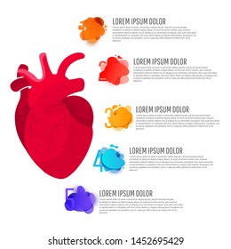 Creative medicine concept. Human anatomy illustration Medical concept infographics of red man heart organ with round elements with text on white background