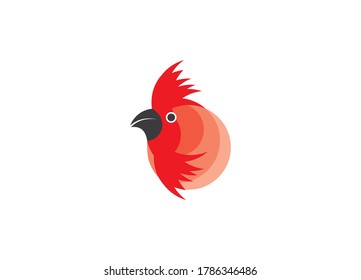 Creative, minimal bird logo vector illustration