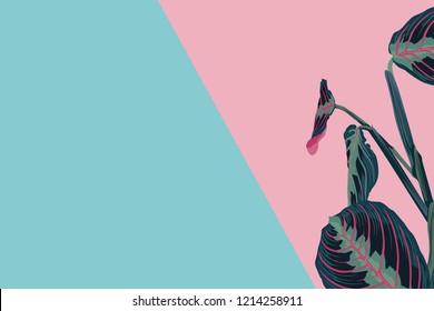 Creative minimal summer idea. Blue pink plant. Tropical exotic background with empty space for text. Concept creative art. Flat lay, top view.