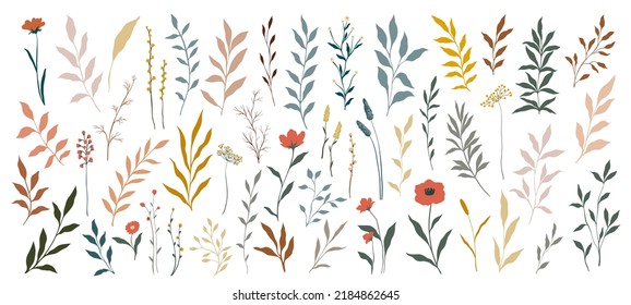 Creative minimalist Abstract art wild flowers, leaves, branch, Hand Drawn doodle Scribble floral plants. Abstract leaf. wild flowers isolated on white