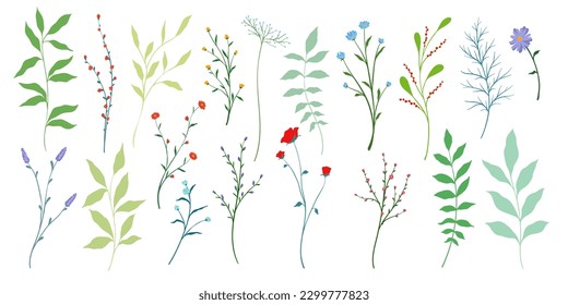 Creative minimalist Abstract art wild flowers, leaves, branch, Hand Drawn doodle Scribble floral plants. Abstract leaf. wild flowers isolated on white