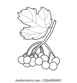 Creative minimalistic simple black outline illustration of viburnum branch isolated on white background for various graphic design options.