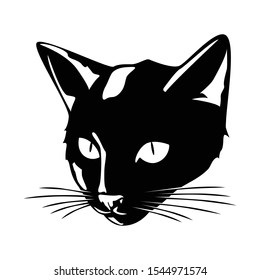 Creative modern cat head logo icon