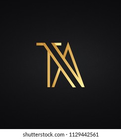 Creative modern elegant trendy unique artistic black and white color TA initial based letter icon logo