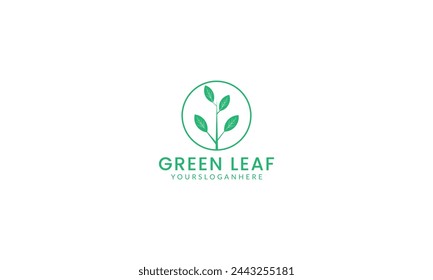Creative modern Green eco product icon with leaves