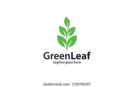 Creative and modern green leaf for natural and environment logo design vector editable
