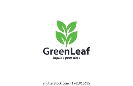 Creative and modern green leaf for natural and environment logo design vector editable
