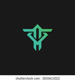 creative modern letter t logo design vector
