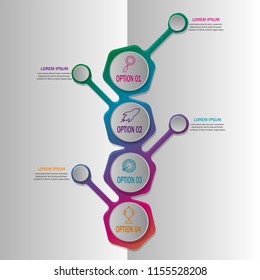 creative modern timeline infographic template element for workflow,process,presentation with modern branch tree growth concept design vector