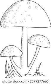 Creative Mushroom one line art drawing Illustration