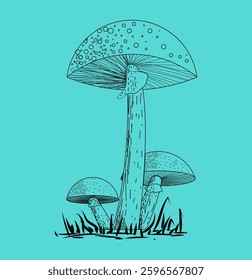 Creative Mushrooms Vectors art Illustrations,  Colorful Mushroom Vectors  Art 