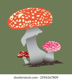 Creative Mushrooms Vectors art Illustrations,  Colorful Mushroom Vectors  Art 