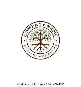 Creative nature Tree Oak logo design vintage vector emblem
