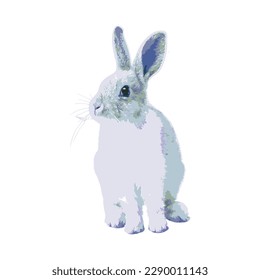 Creative New rabbit watercolor illustration vector