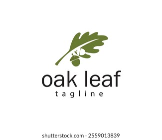 creative oak leaf with acorn two logo design