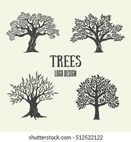 Creative olive, argan and coffee trees silhouette. Vector graphic illustration. Logo design  used for advertising products premium quality.