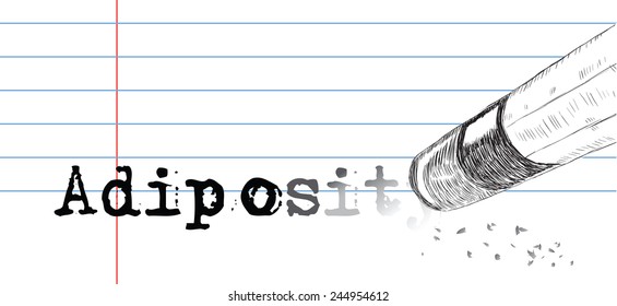 Creative on a theme of adiposity, a pencil eraser and word adiposity. Vector illustration.