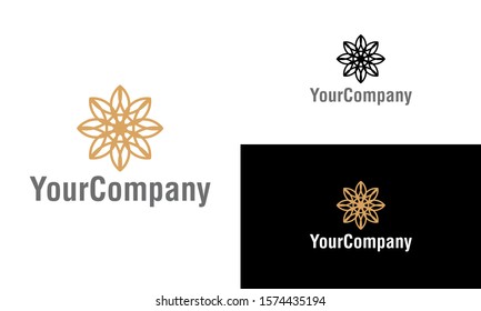 Vector Logo Design Template Trendy Linear Stock Vector (Royalty Free ...