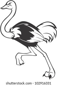 Creative Ostrich Illustration