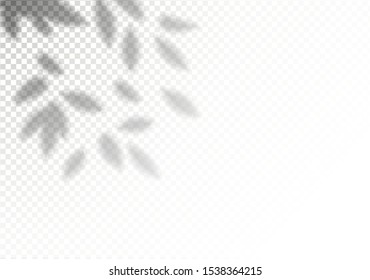 Creative overlay effect for mockups. Transparent vector shadow of leaves. Decorative design element for collage and mock Up. 