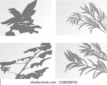 Creative overlay effect for mockups, vector set of transparent shadows of leaves. Decorative design elements for collages. 