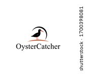 creative oyster catcher logo design vector image illustration