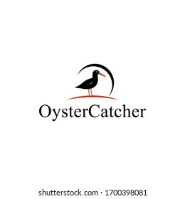 creative oyster catcher logo design vector image illustration