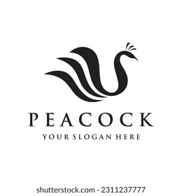 Logo de création oiseau paon et plumes paons - illustration Vectorielle.
