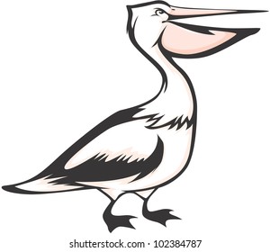 Creative Pelican Illustration