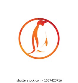Creative Penguin Logo Template vector icon illustration design	
