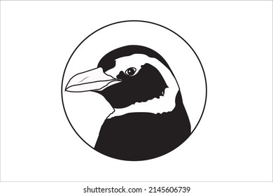 creative penguin logo vector design