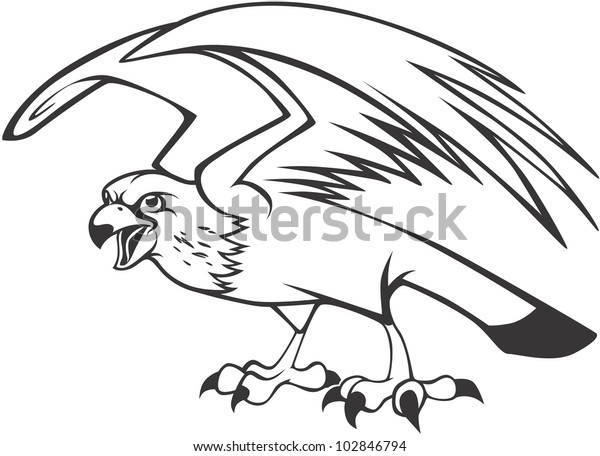 Creative Peregrine Falcon Illustration Stock Vector Royalty