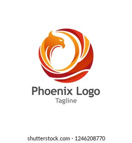 Creative Phoenix logo Vector