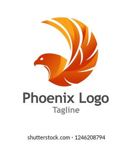 Creative Phoenix logo Vector