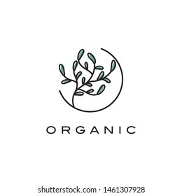 Creative Plants Logo Design Vector Templatesymbol Stock Vector (Royalty ...