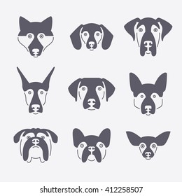 Creative portrait collection of different dog breeds, including german Shepherd, Labrador, doberman, husky. Dog faces. Modern illustration of veterinarian clinic, dog breeder logo. 