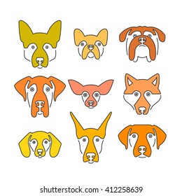 Creative portrait collection of different dog breeds, including german Shepherd, Labrador, doberman, husky. Dog faces. Modern illustration of veterinarian clinic, dog breeder logo. 