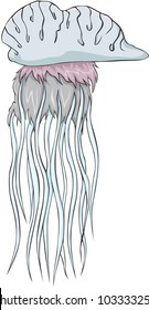 Creative Portuguese Man of War Illustration