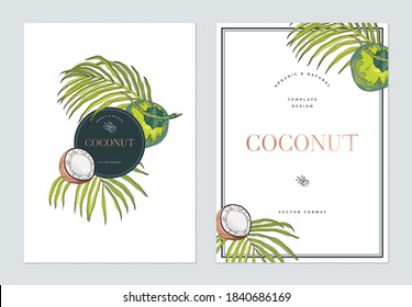 Creative poster template design, line art illustration of coconut and leaves on white