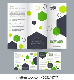 Diseño creativo profesional de tres folletos con vista frontal y posterior para presentación empresarial.