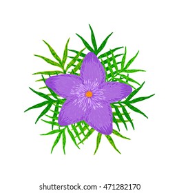 The creative  purple flower with green leaves on the white background