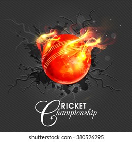 Creative red ball in fire on stylish background for Cricket Championship concept.