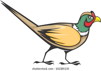Creative Ring Necked Pheasant Illustration