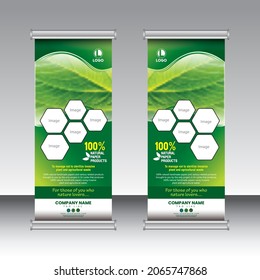 creative Roll up brochure flyer banner design template vector, abstract , modern, new x-banner, rectangle size.green colorful design.