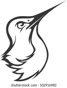 Creative Ruby Throated Hummingbird Illustration